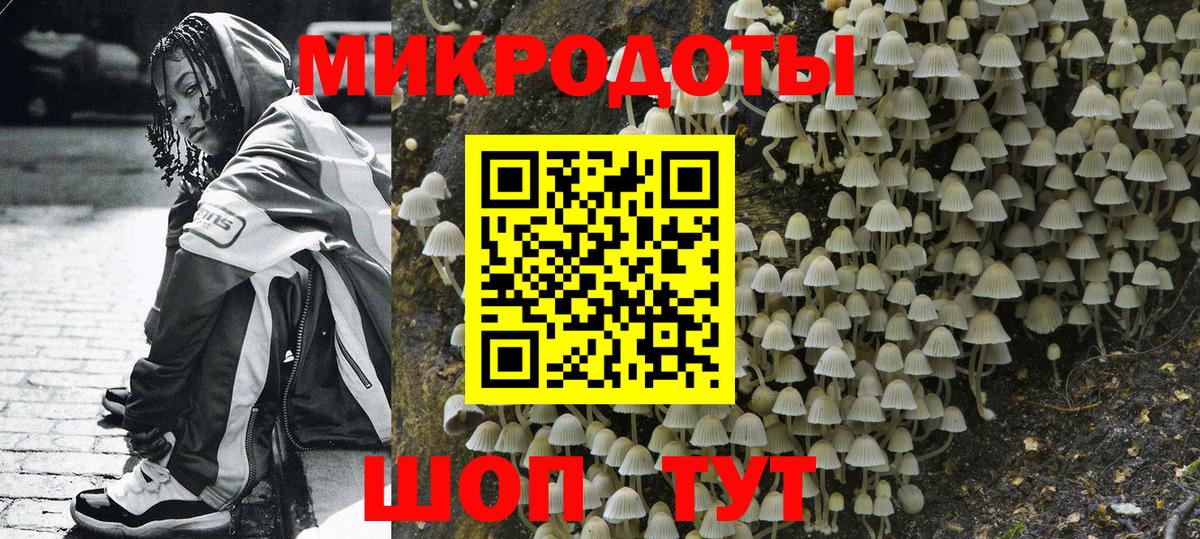 Псилоцибиновые грибы GOLDEN TEACHER Казань
