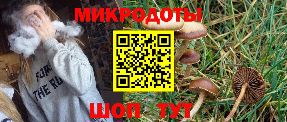 Псилоцибиновые грибы прущие грибы  Вход с VPN  Казань 